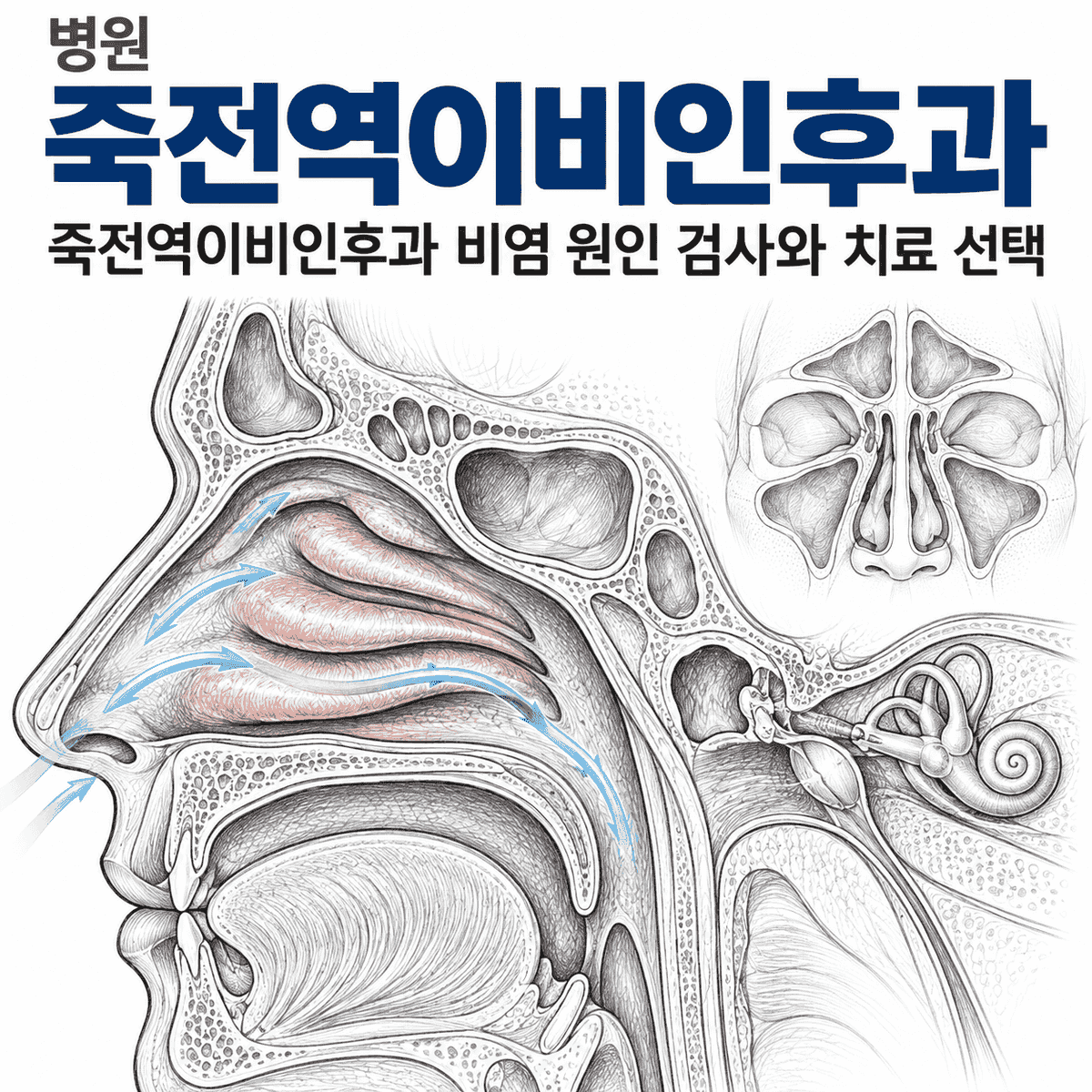 죽전역이비인후과 비염 원인 검사와 치료 선택, 코막힘만 보면 될까요?